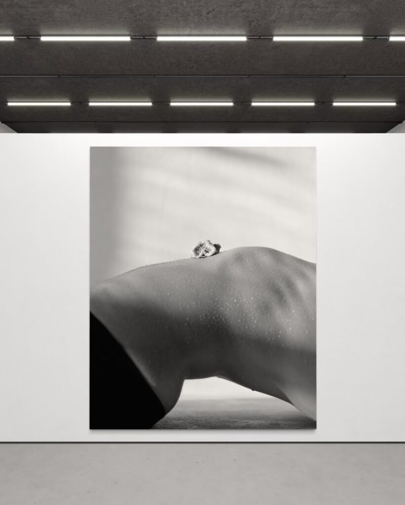 BODY AND SHELL shown in an interior